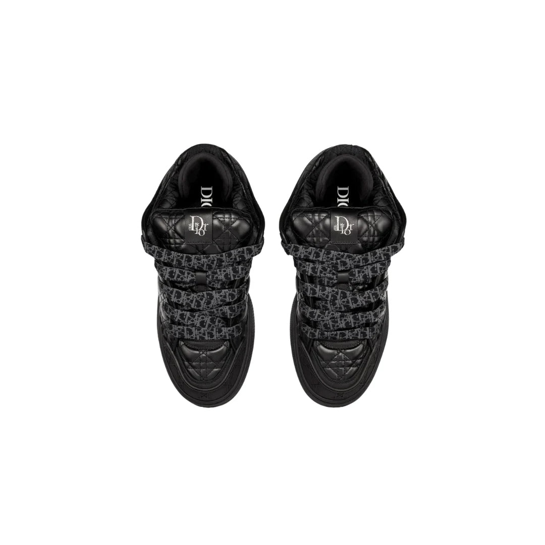 Dior B9S Skater ERL