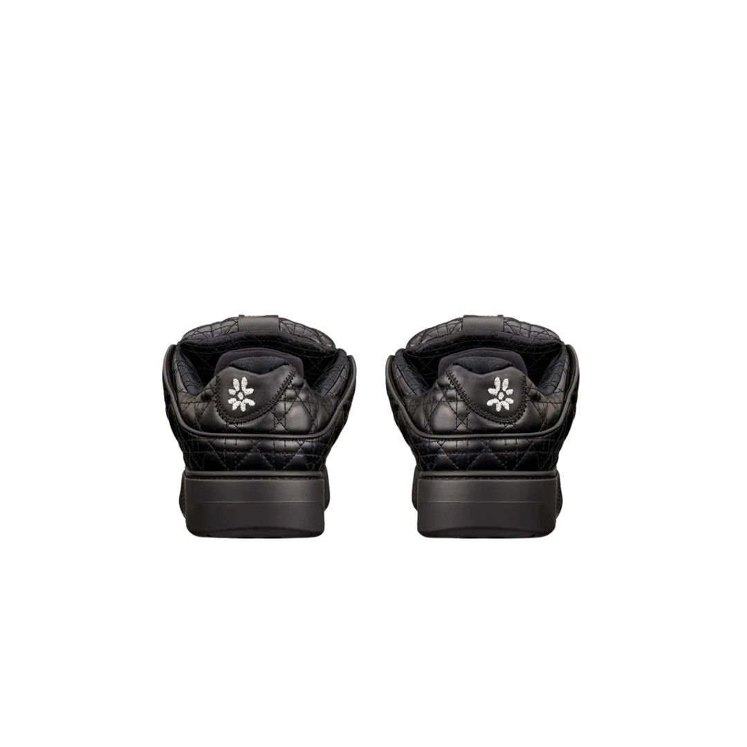 Dior B9S Skater ERL