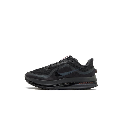 Nike Pegasus Premium Black black