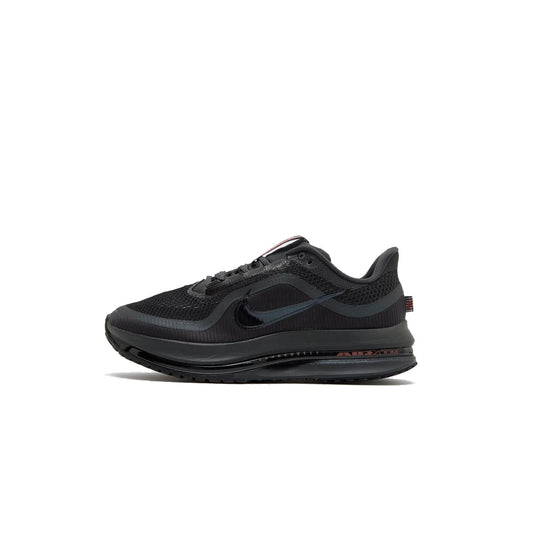 Nike Pegasus Premium Black black